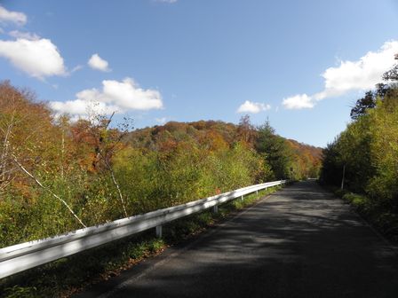 紅葉の気配!大川渓谷をさかのぼってみた。_b0206037_2313985.jpg