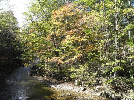 紅葉の気配!大川渓谷をさかのぼってみた。_b0206037_2314231.jpg