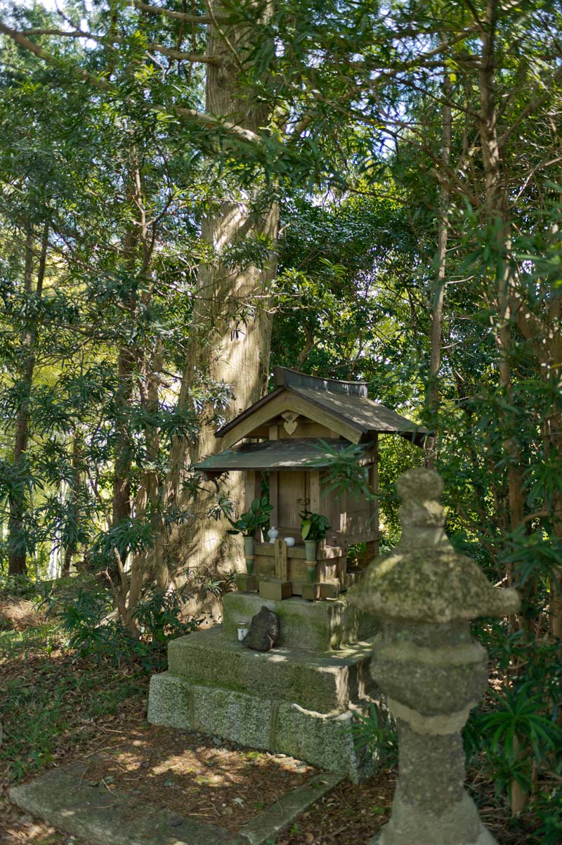 風の森神社 奈良県御所市鴨神_b0023047_4593678.jpg