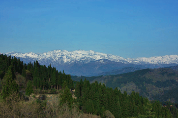 a0044453_14493897.gif