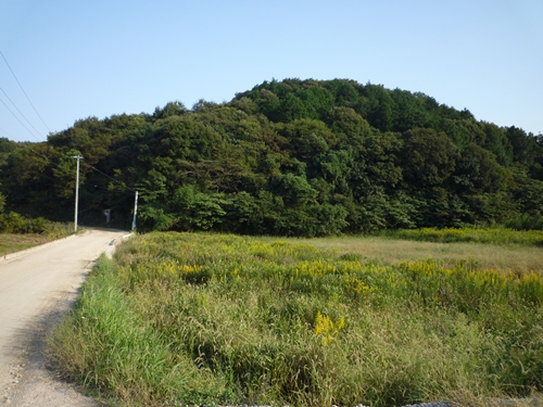c0222861_2138437.jpg
