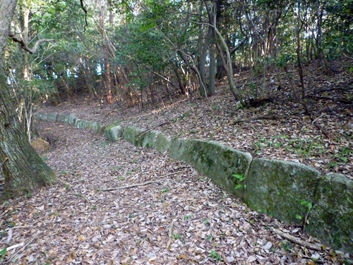 c0222861_21393030.jpg