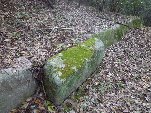 c0222861_21394641.jpg