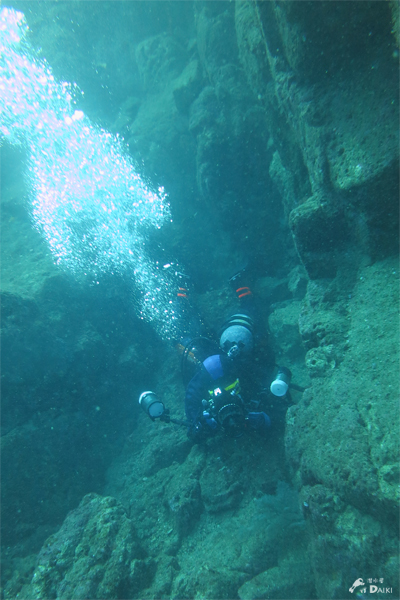 e0158261_8255421.jpg