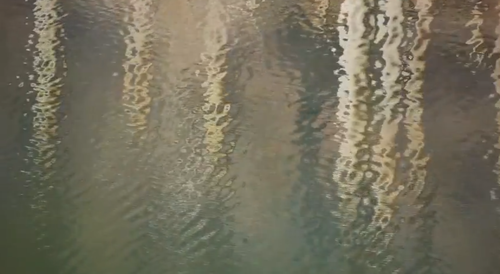 山内桂ライブ+映画「ホフネン」上映会_b0151262_22351692.png