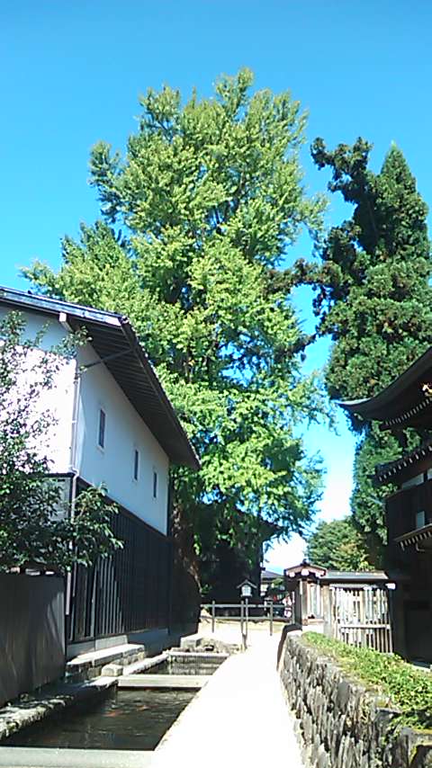 b0242064_57955.jpg