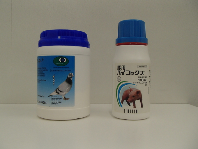 薬_b0287468_9233331.jpg