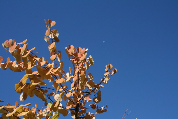 c0248269_8433176.jpg