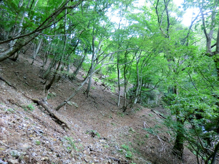 b0185573_1540563.jpg