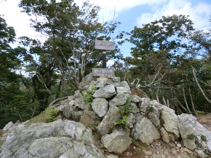 b0185573_18312343.jpg