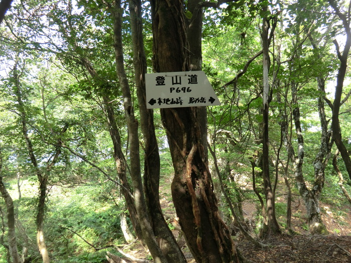 b0185573_20295246.jpg