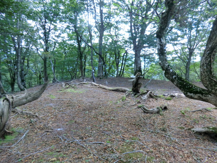 b0185573_20374440.jpg