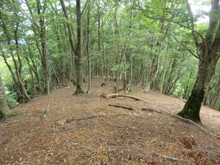 b0185573_20524890.jpg