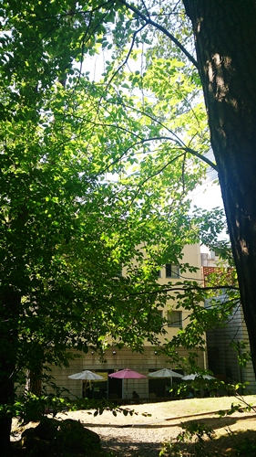 c0222474_13532968.jpg