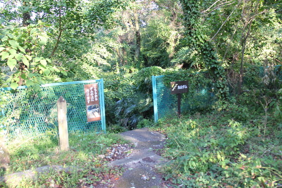 d0187275_11161794.jpg