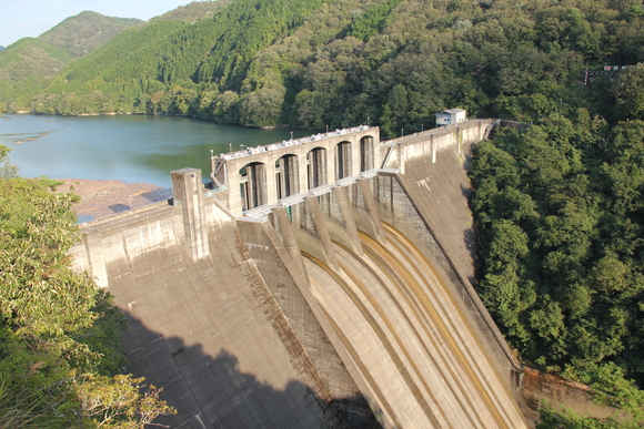 d0187275_1134210.jpg