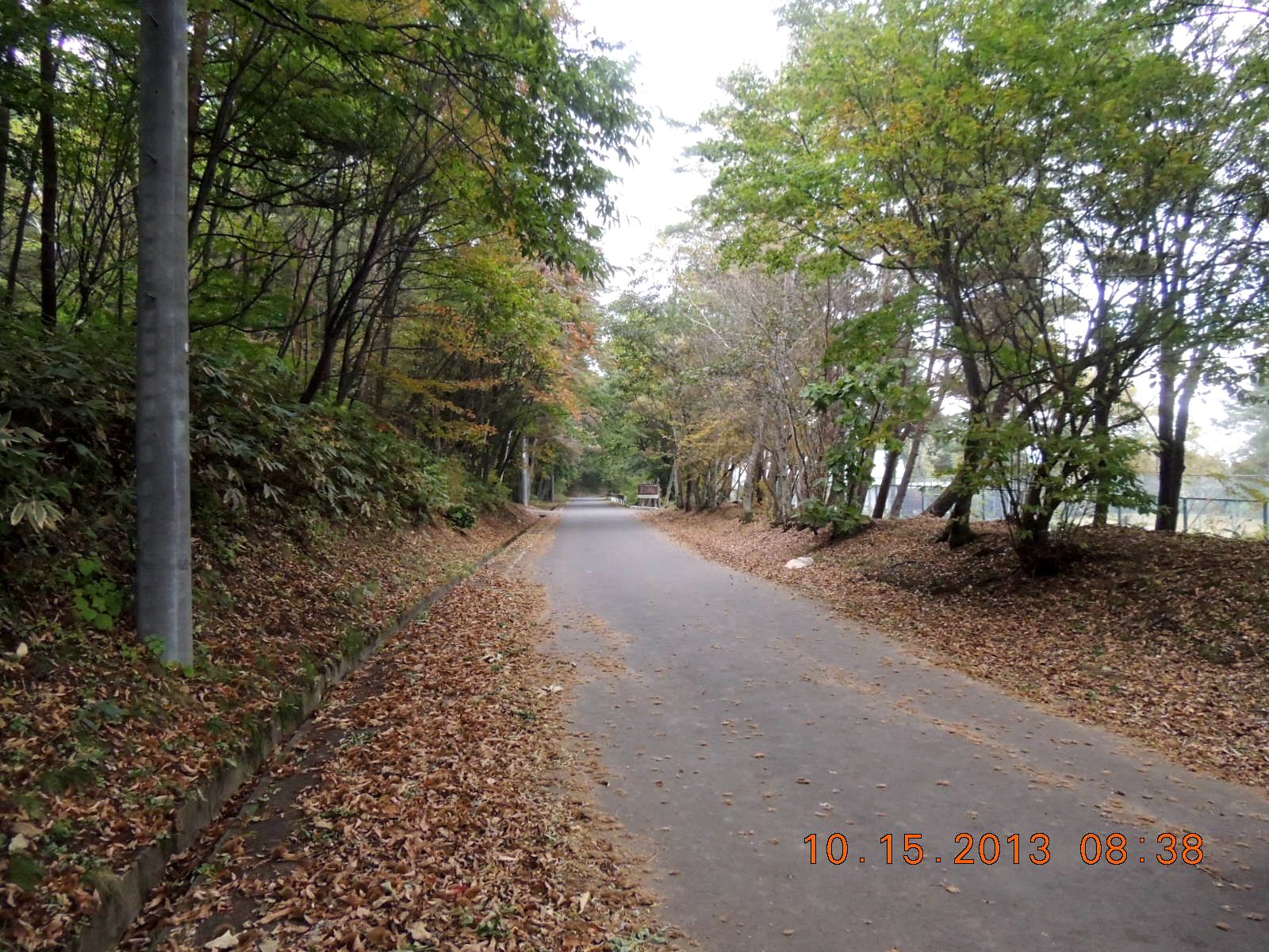 f0104277_6472365.jpg