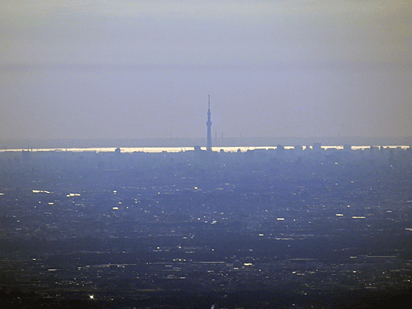 a0238278_1326442.gif