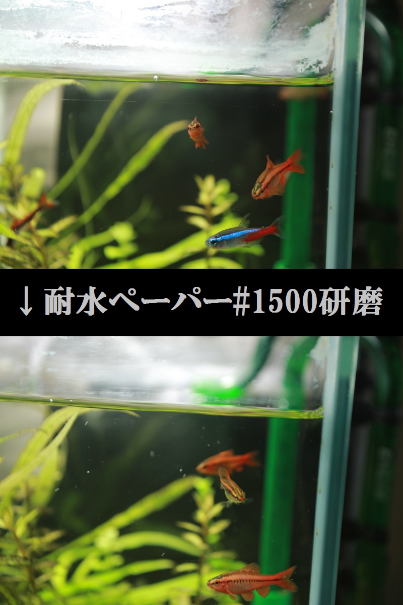 水槽の水垢を除去してみた ぽいうytれwq Poiure 水槽の水垢を除去してみた ぽいうytれwq Poiure