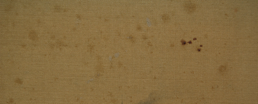絹本・日本画のシミ_f0223981_178316.jpg