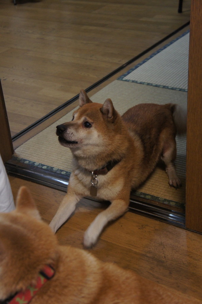 帰国翌日、小岩にて。_c0180686_782293.jpg