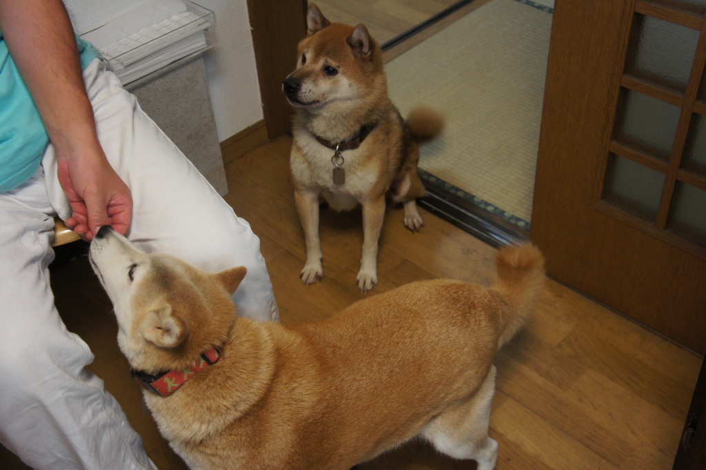 帰国翌日、小岩にて。_c0180686_782850.jpg