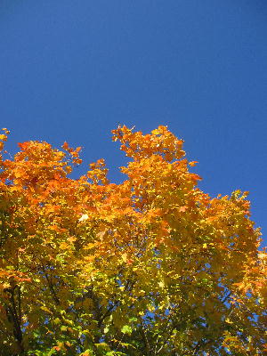 c0171889_11121446.jpg