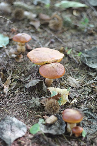 b0255896_038475.jpg