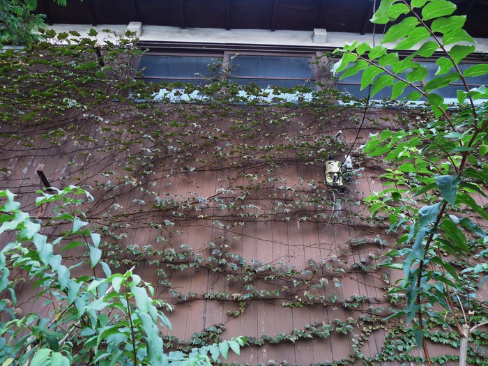 e0169200_11463676.jpg