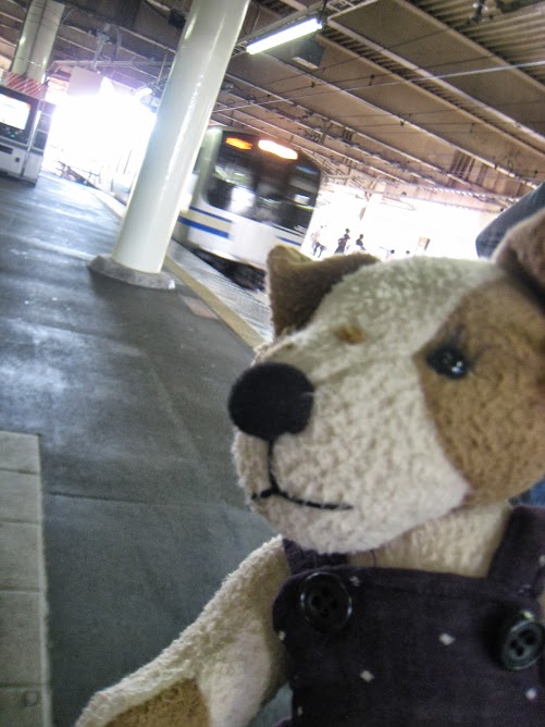 f0256400_8305595.jpg