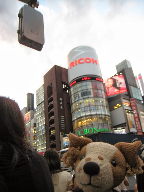 f0256400_8313278.jpg