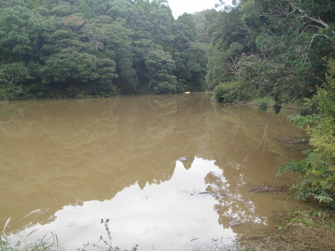 10月26日にオープンします。_f0192504_10453925.jpg