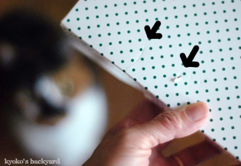 ドーナツの箱 シラを切る猫 Kyoko S Backyard アメリカで田舎暮らし