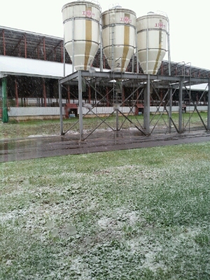 2013 初雪。_a0164408_1145713.jpg