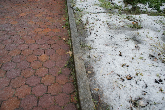 a0248508_11265176.jpg
