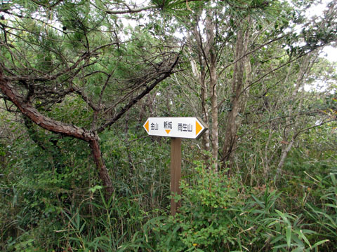 e0293913_21463722.jpg