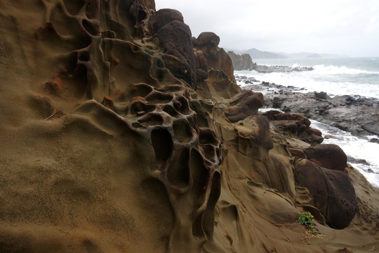 c0235114_2028348.jpg
