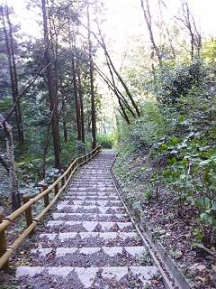 e0149215_12261788.jpg