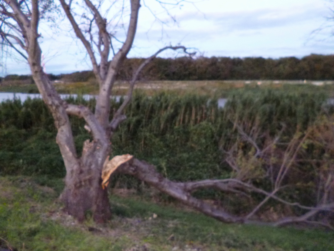 c0280416_1285834.jpg