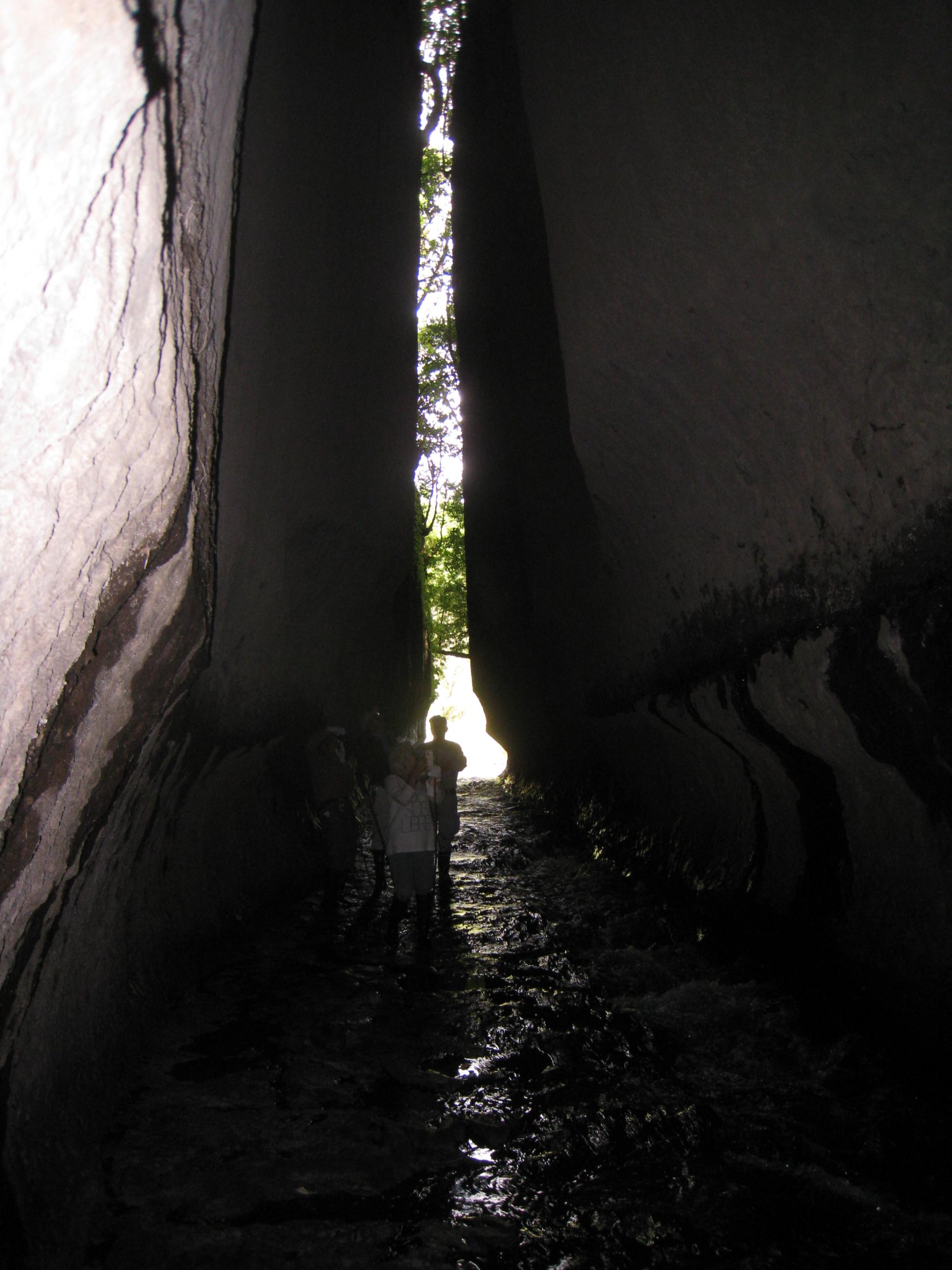 d0053616_20154856.jpg