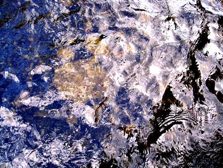 d0053616_20165564.jpg