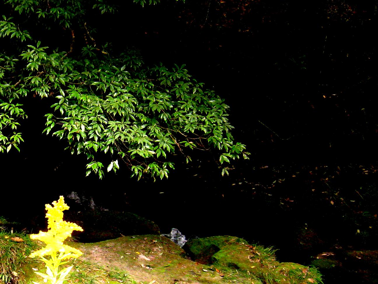 d0053616_202442100.jpg