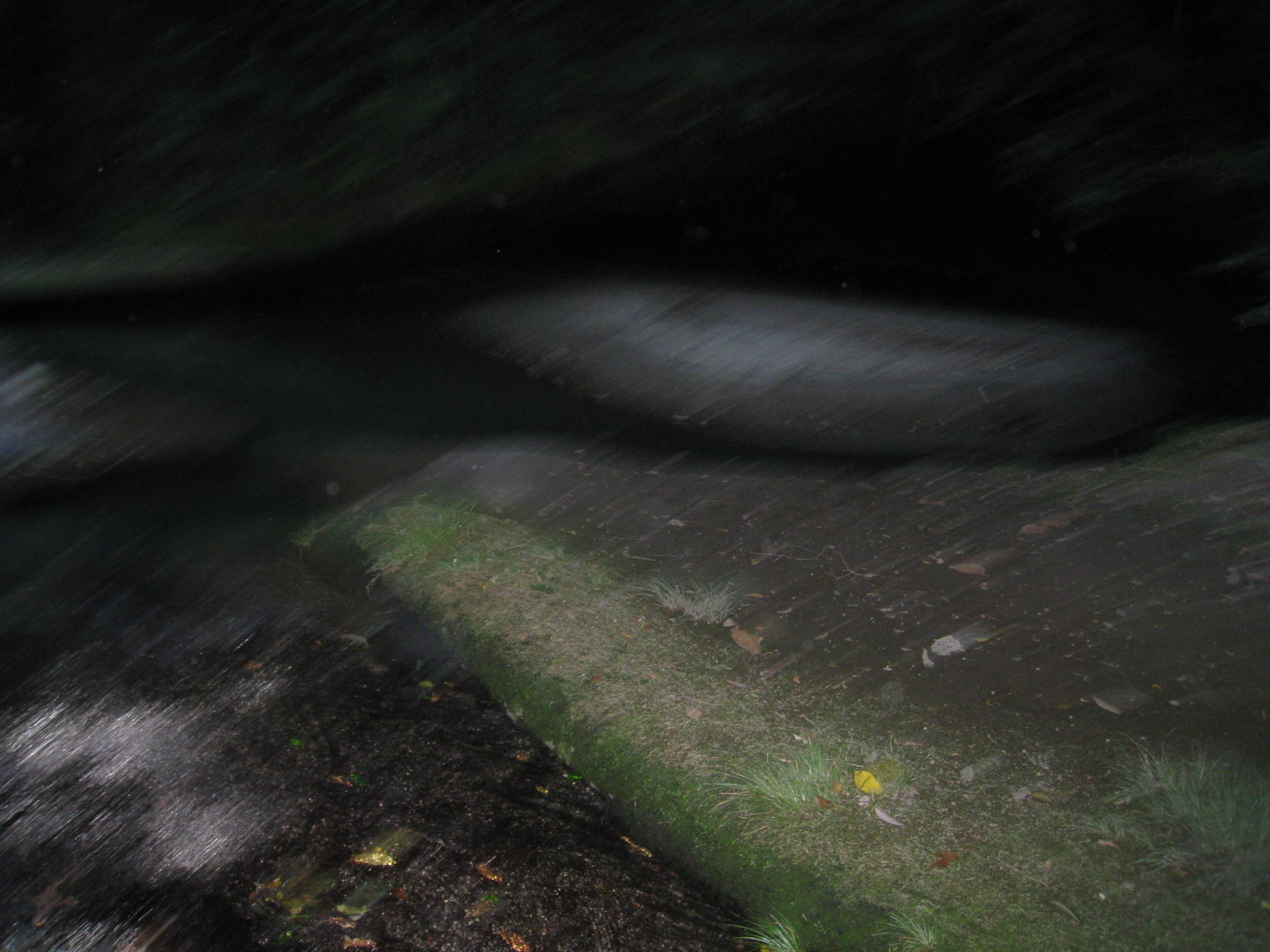 d0053616_2041955.jpg