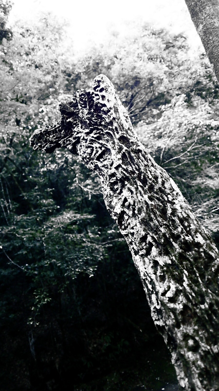 d0053616_20475796.jpg