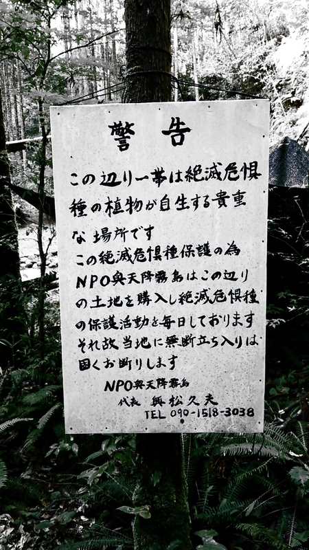d0053616_2050174.jpg