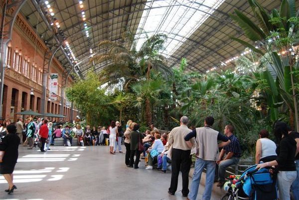 駅がジャングルのような緑の空間に スペイン マドリッド アトーチャ駅 アーバン ガーデン ウォッチング 駅がジャングルのような緑の空間に スペイン マドリッド アトーチャ駅 アーバン ガーデン ウォッチング