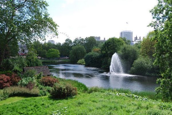 ロンドンの中心にある緑も昔は ロンドン セント ジェームズ パーク アーバン ガーデン ウォッチング