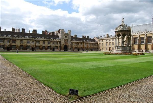 ケンブリッジ大学のガーデン ウォッチング アーバン ガーデン ウォッチング ケンブリッジ大学のガーデン ウォッチング アーバン ガーデン ウォッチング