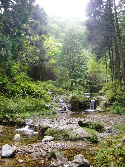 払沢の滝（東京都西多摩郡檜原村）_c0219820_19492896.jpg