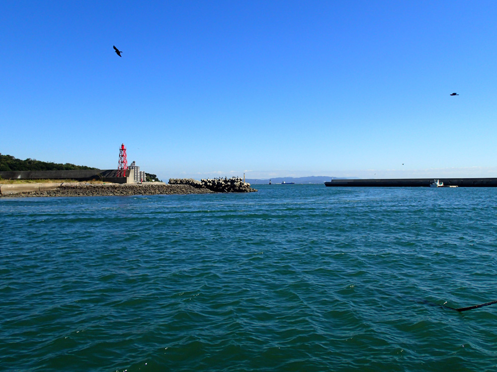 船釣り　知多半島 大井港よりマダイ釣り 2013年10月17日(木)  _d0171823_22585431.jpg